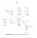 Fig. 02 - Bicyclo-heptan-2-amines