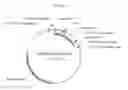Fig. 06 - TARGETING CELLS WITH ALTERED MICRORNA EXPRESSION