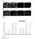 Fig. 07 - Methods and compositions to reduce oxidative stress