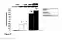 Fig. 08 - Methods and compositions to reduce oxidative stress