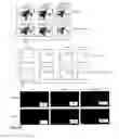 Fig. 45 - Methods and compositions to reduce oxidative stress