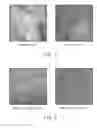Fig. 05 - Methods of preparing polymer-organoclay composites and articles derived therefrom