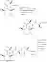 Fig. 22 - Asymmetric synthesis of peptides