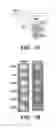 Fig. 09 - Scaffold polypeptides for heterologous peptide display