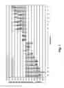 Fig. 02 - Artificial entropic bristle domain sequences and their use in recombinant protein production