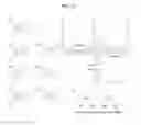 Fig. 14 - Hybridization chain reaction amplification for in situ imaging
