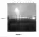 Fig. 02 - Nanoparticles for Manipulation of Biopolymers