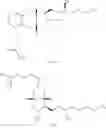 Fig. 02 - Treprostinil production