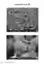 Fig. 02 - Method of making a molecular sieve of MFS framework type with controllable average size