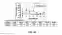 Fig. 09 - Uses of IL-12 in hematopoiesis