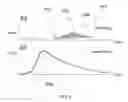 Fig. 09 - Devices and methods for non-invasive optical physiological measurements