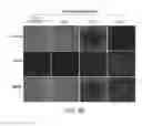 Fig. 07 - Nanoparticles for use in tumor diagnosis and therapy