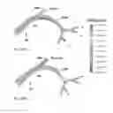 Fig. 04 - Methods and devices for targeted injection of microspheres