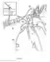 Fig. 22 - Methods and devices for targeted injection of microspheres