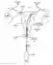 Fig. 01 - Methods for determining lumen occlusion