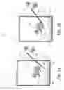 Fig. 03 - Systems and methods for non-invasively recording ECG in conscious ambulatory subjects