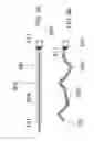 Fig. 09 - Controllable Stiffness Guidewire