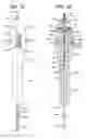 Fig. 14 - Coordinate instrument set