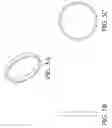 Fig. 09 - Intragastric device