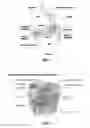 Fig. 02 - Method and device for treating osteoarthritis noninvasively