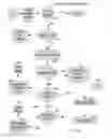 Fig. 27 - System & Method For Predicting Outcome Of An Intellectual Property Rights Proceeding/Challenge