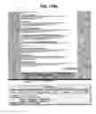 Fig. 261 - Metasearch engine for ordering items returned in travel related search results using multiple queries on at least one host comprising a plurality of server devices