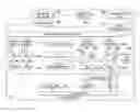 Fig. 01 - Parallel execution unit that extracts data parallelism at runtime