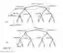 Fig. 10 - Ordering of statistical correlated quantities