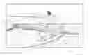 Fig. 01 - Wakeboarding pool and method of use thereof