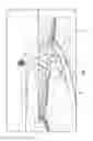 Fig. 06 - Wakeboarding pool and method of use thereof