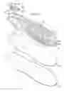 Fig. 12 - Flow insole