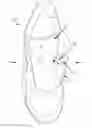 Fig. 01 - Shoe tongue securing device