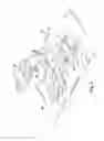 Fig. 05 - Motion greeting cards