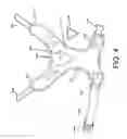 Fig. 05 - Non-choking harness for pet