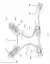 Fig. 08 - Non-choking harness for pet