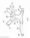 Fig. 09 - Non-choking harness for pet