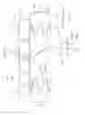 Fig. 07 - CRANKLESS ENGINE