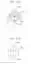 Fig. 19 - CRANKLESS ENGINE