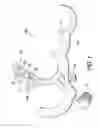 Fig. 02 - Bowstring release