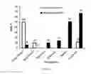 Fig. 02 - One pot and single step hydrolytic process for the conversion of lignocellulose into value added chemicals