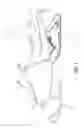 Fig. 02 - SUSPENSION ARCHITECTURE FOR A SNOWMOBILE