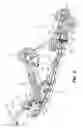 Fig. 06 - SUSPENSION ARCHITECTURE FOR A SNOWMOBILE