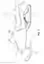 Fig. 12 - SUSPENSION ARCHITECTURE FOR A SNOWMOBILE