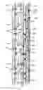 Fig. 01 - System having multiple cabs in an elevator shaft