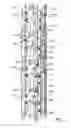 Fig. 03 - System having multiple cabs in an elevator shaft