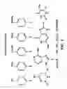 Fig. 04 - DNA MOTION CONTROL BASED ON NANOPORE WITH ORGANIC COATING FORMING TRANSIENT BONDING TO DNA