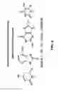 Fig. 05 - DNA sequence using multiple metal layer structure with different organic coatings forming different transient bondings to DNA