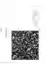 Fig. 02 - Nanopore array structured devices for biosensing and energy storage