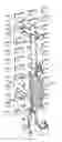 Fig. 01 - System for storage and transport of weapons