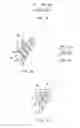 Fig. 05 - TRAY FOR POSITIONING ELONGATED OBJECTS, IN PARTICULAR SYRINGE BODIES OR SYRINGES